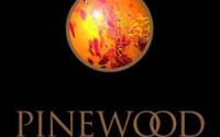 Pinewood Hotel menu