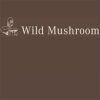 Wild Mushroom store hours